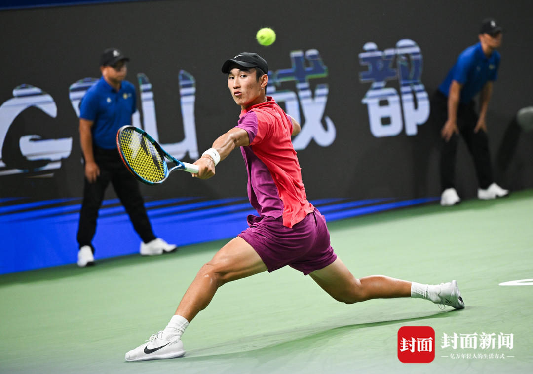 森林的反击 森林的反击