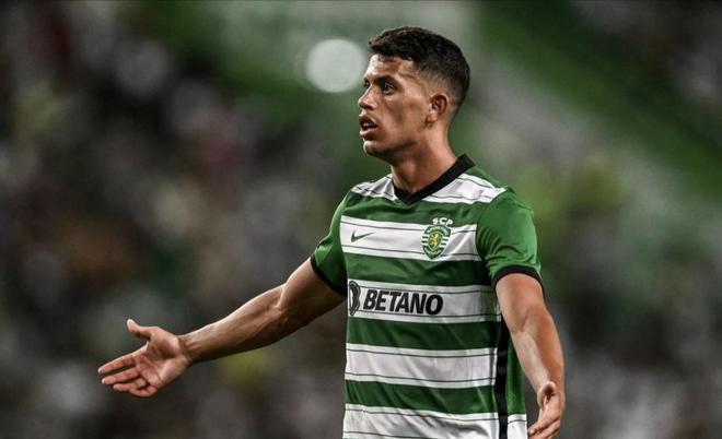 球迷的赞誉 球迷的赞誉