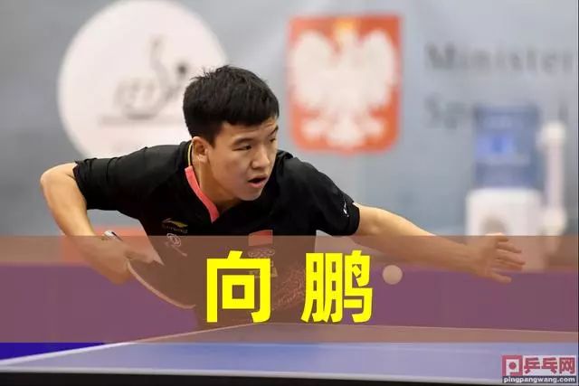 球迷关注的 球迷关注的