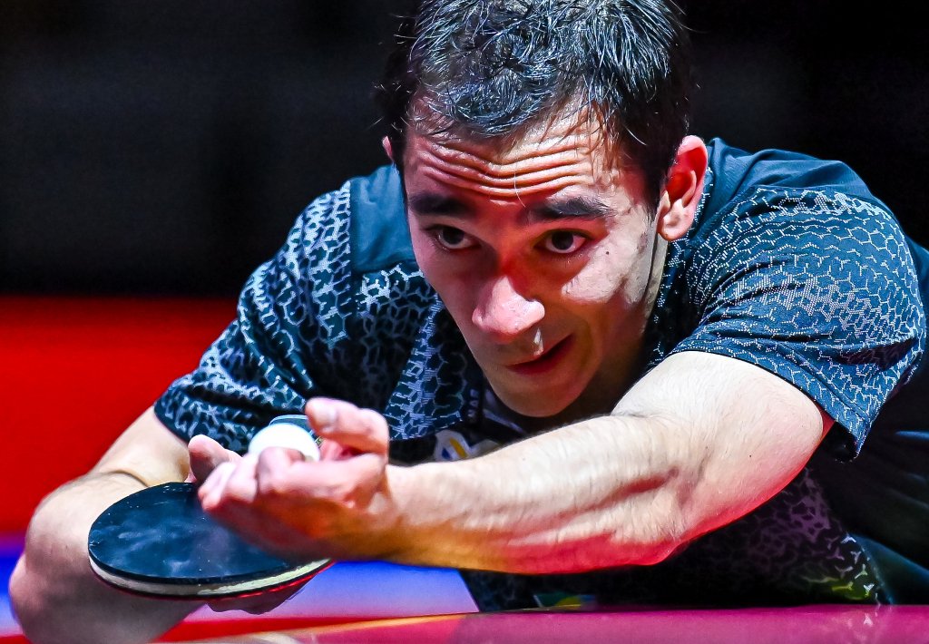 仅是展示自 仅是展示自